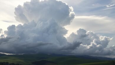 Studi Kebiasaan Pagi